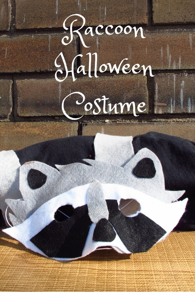 last-minute-diy-raccoon-costume-kiku-corner